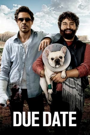 Due Date (2010) Hindi Dual Audio 720p BluRay [850MB] - Movierulz
