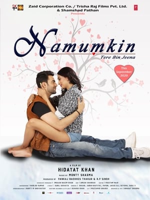 Namumkin Tere Bin Jeena 2020 Movie 720p HDRip x264 [740MB] - Movierulz