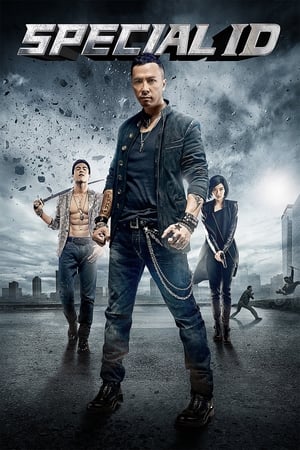 Special ID (2013) Hindi Dual Audio 720p BluRay [1.3GB] ESubs - Movierulz
